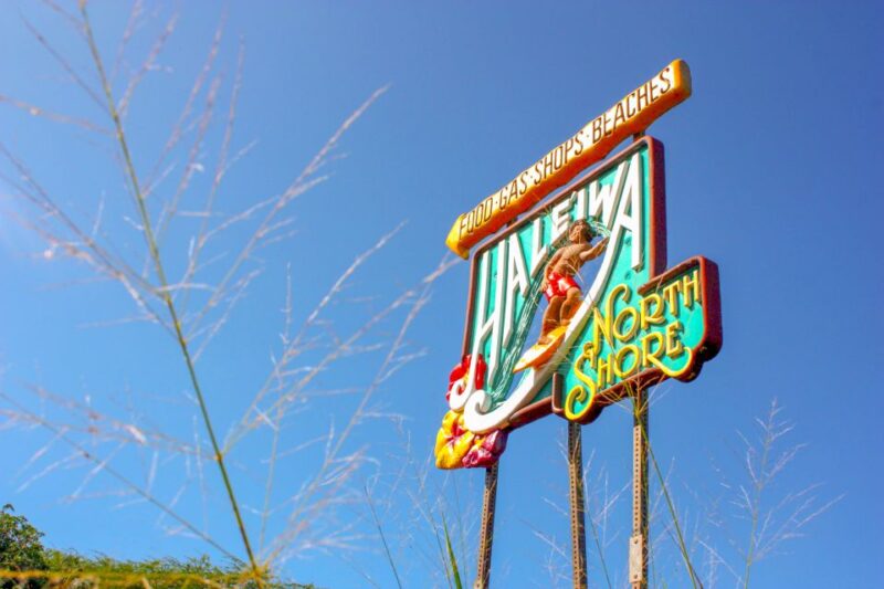 Honolulu: Oahu Island Full-Day Guided Tour by Bus with Lunch - Final Thoughts: A Well-Rounded Tour of Oahu