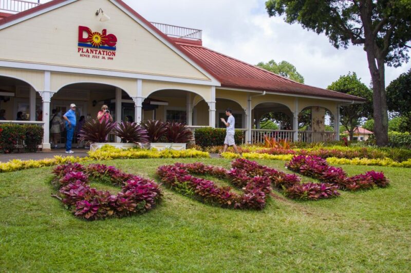 Honolulu: Oahu Island Highlights Tour with Multiple Stops - The Curiously Shaped Chinamans Hat