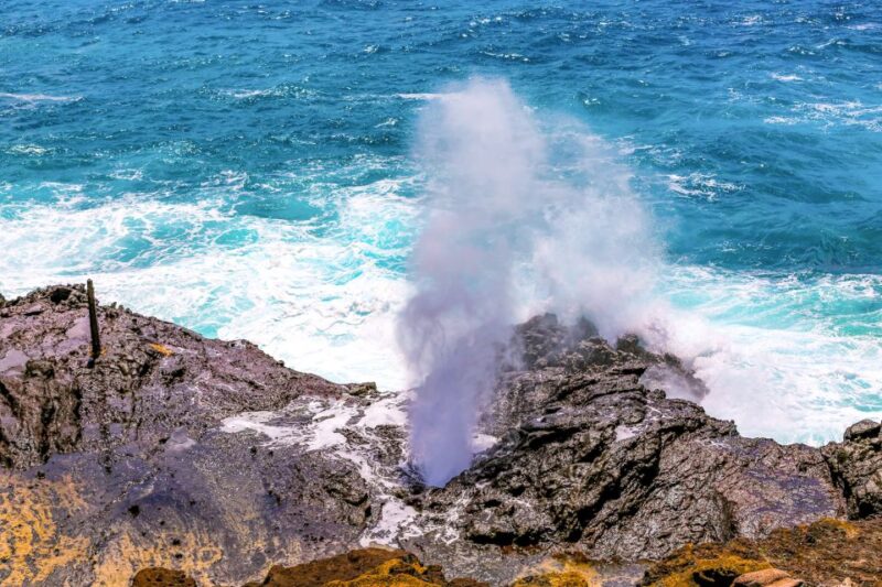Honolulu: Oahu Sights and Bites Island Tour - Exploring the Famous Halona Blowhole and Coastal Wildlife