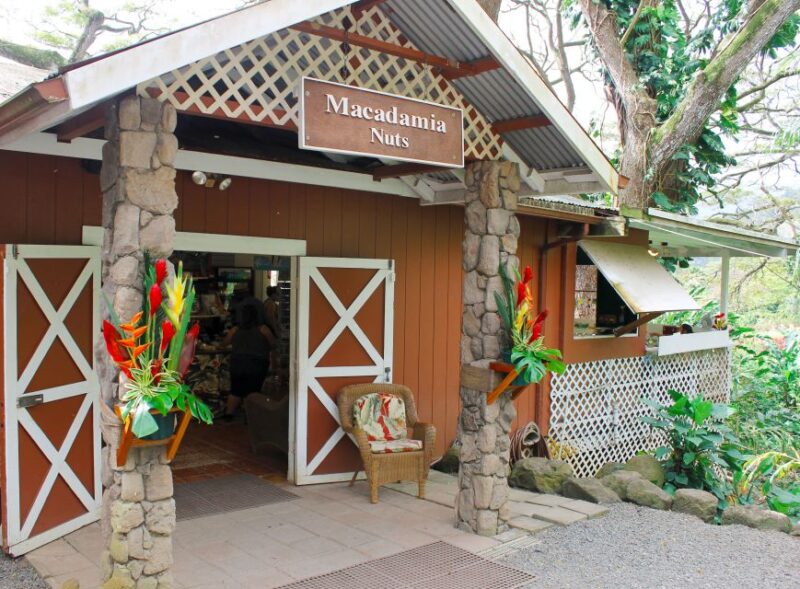 Honolulu: Oahu Sights and Bites Island Tour - A Tasty Break at the Macadamia Nut Farm
