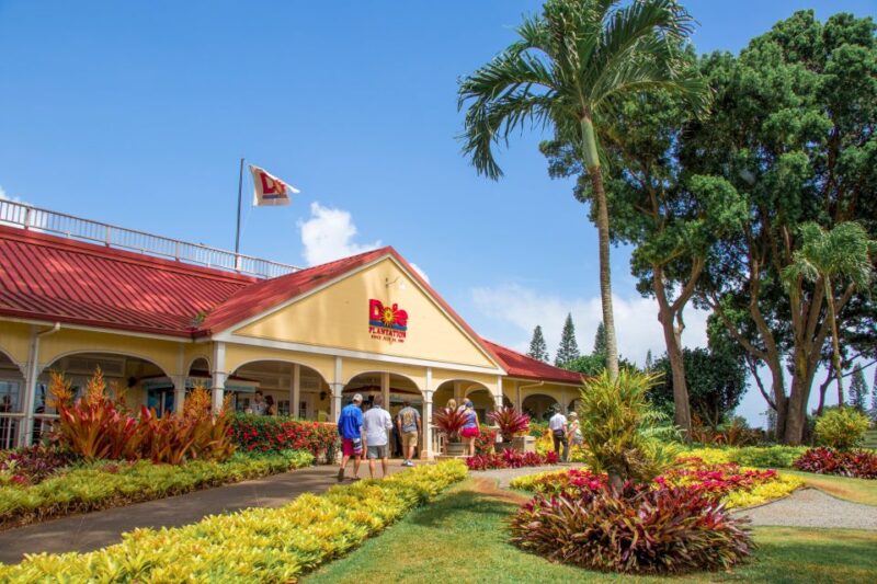 Honolulu: Oahu Sights and Bites Island Tour - An Accessible and Well-Organized Tour with Excellent Guides