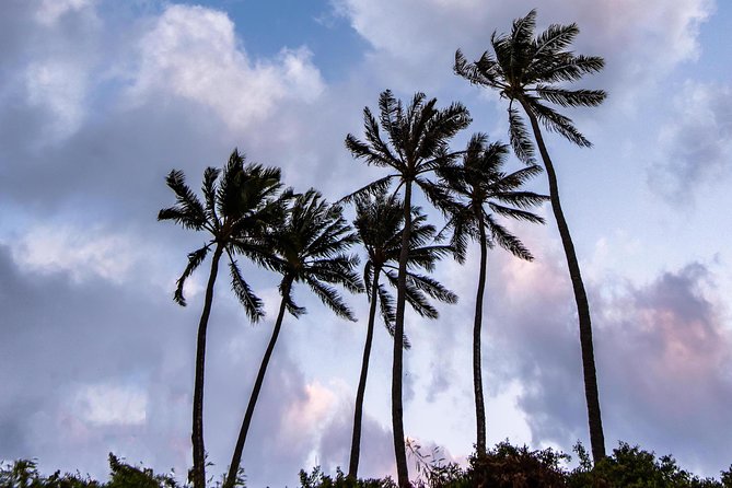 Honolulu Sea-Cliff with Sunset Photo Adventure - Unique Insights from Local Guides