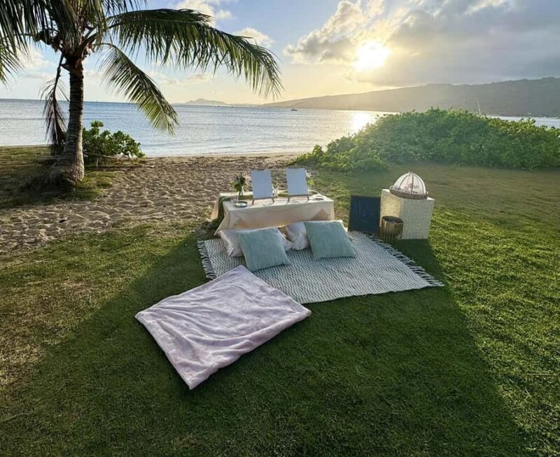 Honolulu: Secluded Beachside Luxury Picnic & Painting - Key Points