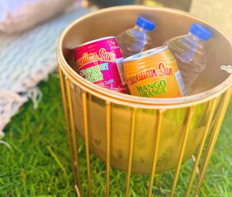 Honolulu: Secluded Beachside Luxury Picnic & Painting - All-Inclusive Painting Experience with No Art Skills Needed