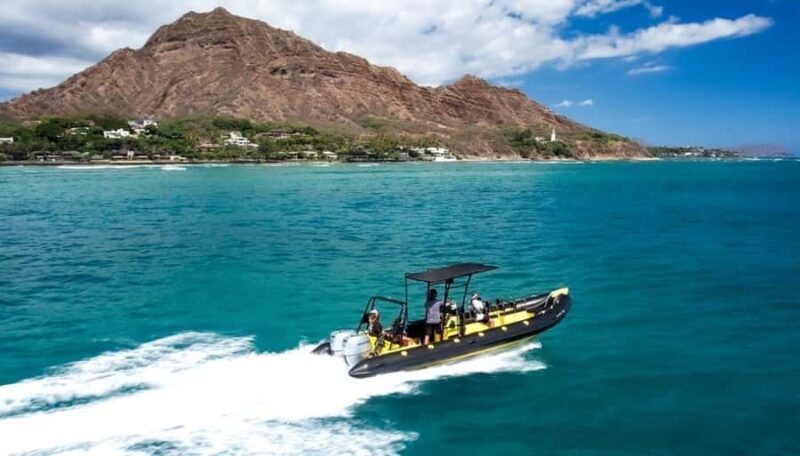 Honolulu: Small-Group Whale Watching Raft Adventure - The Value of an Intimate Small-Group Tour