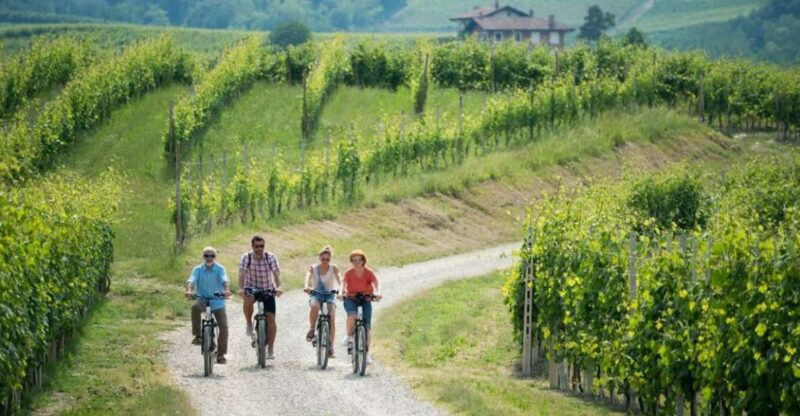Hood River: All-Day E-Bike Rental - Riding Through Hood River’s Streets and Pathways