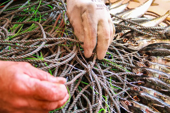 Hooked on Sesimbra - Visiting a Fishermans Warehouse for a Taste of Tradition