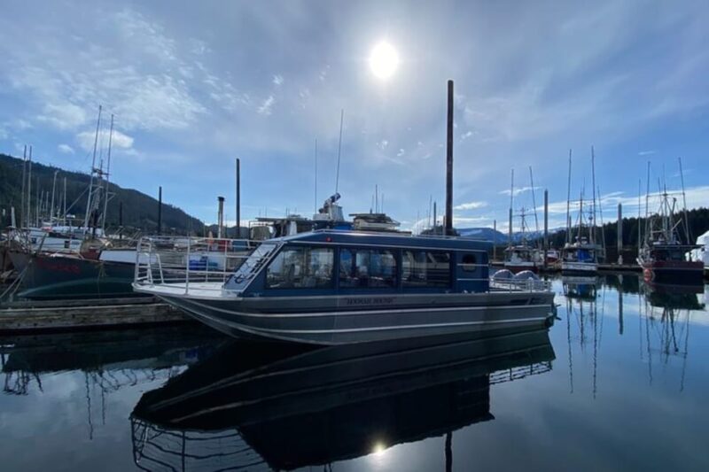 Hoonah: Whale Watching Cruise - Wildlife Encounters: Whales, Seals, and Sea Otters