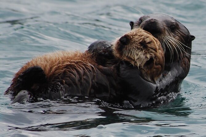 Hoonah Whale-Watching Cruise - Near Icy Strait Point - Weather Considerations and Packing Tips
