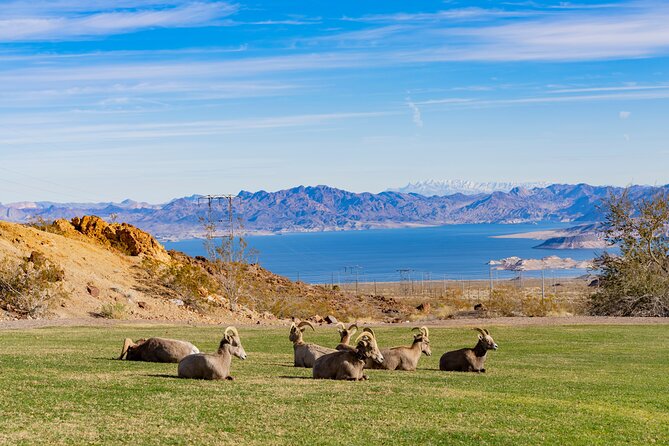Hoover Dam and Lake Mead Self-Guided Audio Tour - Visiting Hoover Dam’s Engineering Marvels