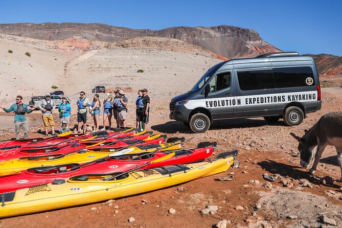 Hoover Dam Discovery Kayak Tour with Lake Mead Views - Physical Demands and Accessibility