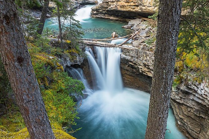 Hop-On and Hop-Off Banff Bus - The Role of the On-Board Guide