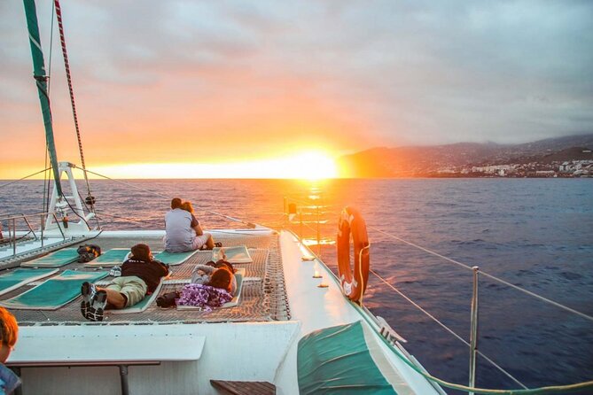 Hop-on Hop-off Bus Tour and Catamaran Whale & Dolphin Watching - Discover Funchal with a Flexible Hop-on Hop-off Bus Tour and Marine Wildlife Cruise