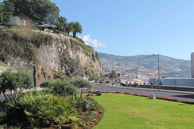 Hop-on Hop-off Bus Tour and Catamaran Whale & Dolphin Watching - The Marine Experience: Catamaran Whale & Dolphin Watching