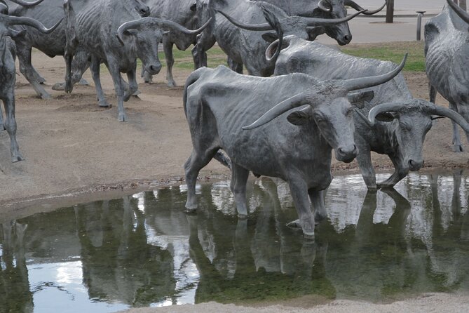 Hop On Hop Off Dallas Tour - Hop-On, Hop-Off Flexibility