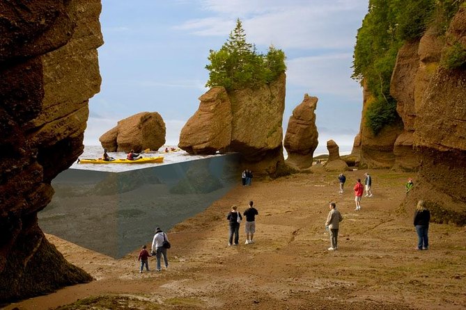 Hopewell Rocks Admission - Hopewell Rocks: A Natural Marvel Along the Bay of Fundy