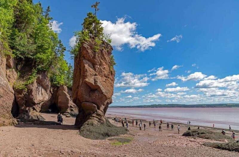 Hopewell Rocks and Fundy National Park Private Tour - Walking Along the Sandstone Formations at Hopewell Rocks