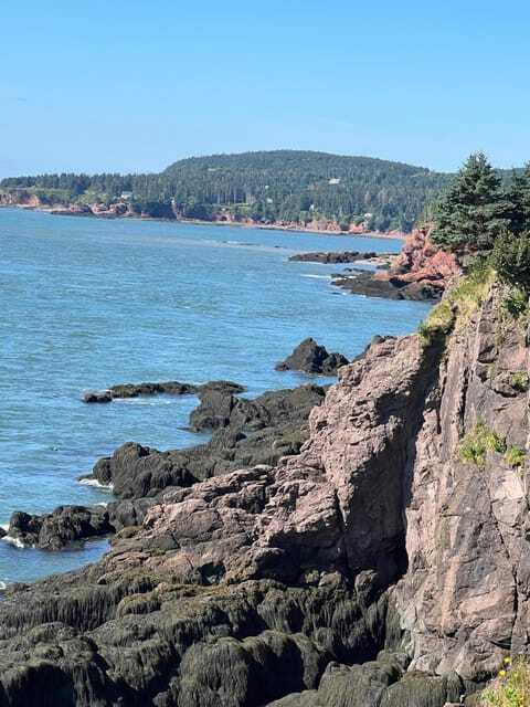 Hopewell Rocks and Fundy National Park Private Tour - Discovering the Dramatic Coastlines of Fundy National Park