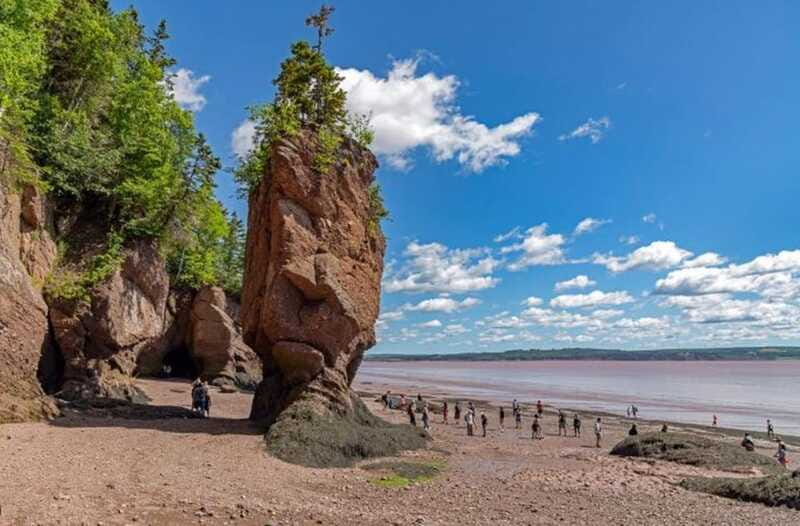 Hopewell Rocks and Fundy National Park Private Tour - The Sum Up: A Compact but Rich Coastal Experience