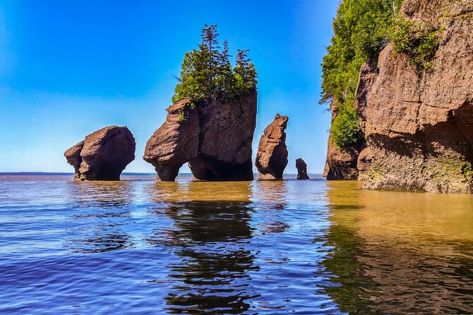Hopewell Rocks Bay of Fundy Tour - Explore Saint John’s Best Kept Secrets on the Hopewell Rocks Bay of Fundy Tour