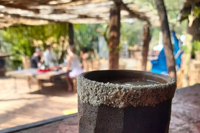 Horizons of Cuicatlán, echoes of the past and ancestral route - Discovering Pinturas Rupestres: Pre-Hispanic Rock Carvings