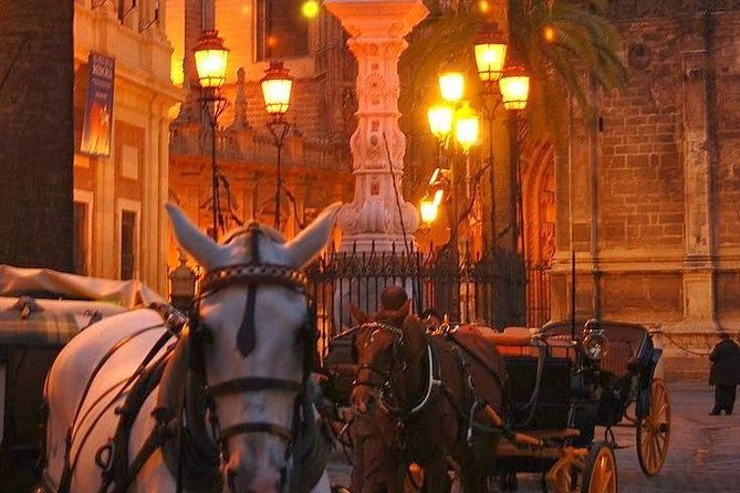 Horse and Buggy Ride in Seville with guide - Starting Point and Tour Timing in Seville