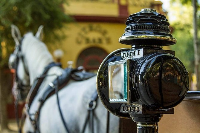 Horse and Buggy Ride in Seville with guide - The Landmarks Visible from the Carriage