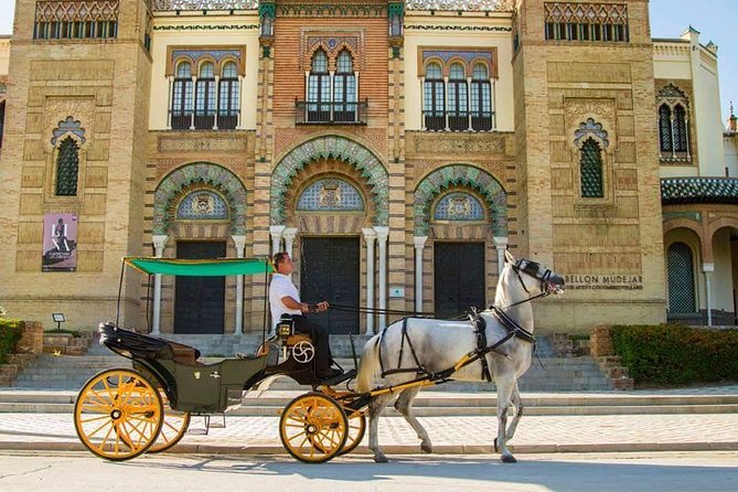 Horse and Buggy Ride in Seville with guide - The Experience of the Horse and Buggy Ride