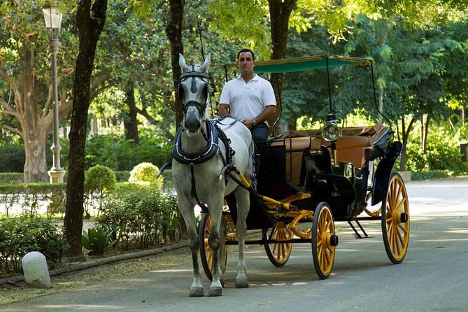 Horse and Buggy Ride in Seville with guide - Logistics: Meeting Point and Accessibility