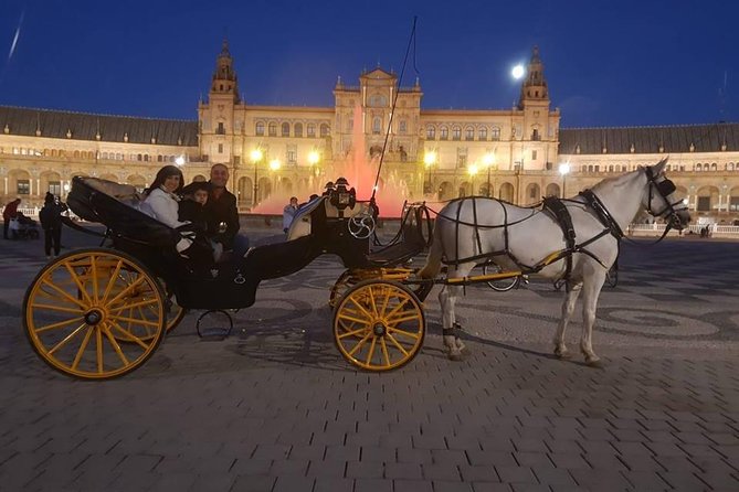 Horse and Buggy Ride in Seville with guide - Who Will Appreciate This Tour Most