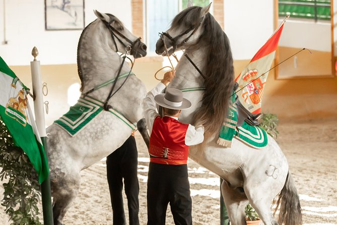 Horse and Flamenco Show in Malaga - The Stable Tour: Behind the Scenes of Andalusian Horses