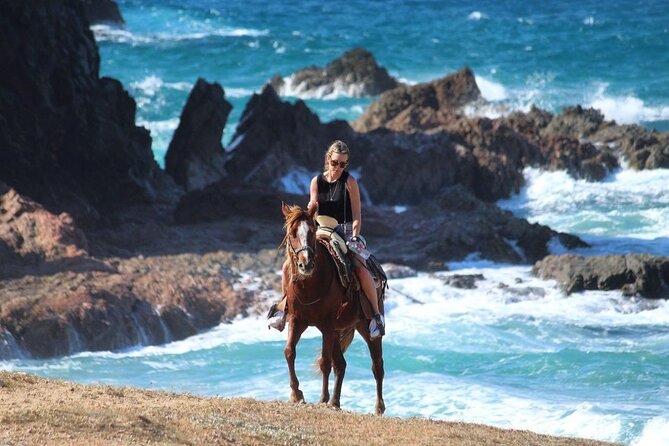 Horse Back Ridding Tour on the Pacific Ocean & Desert - Key Points