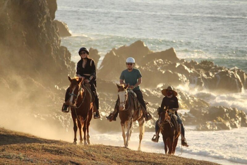 Horse Back Ridding Tour on the Pacific Ocean & Desert - Riding Experience and Safety Measures