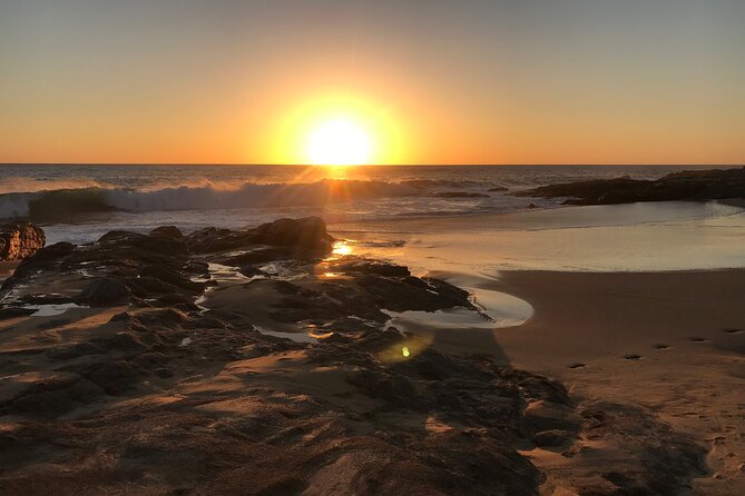 Horse Back Ridding Tour on the Pacific Ocean & Desert - Customer Experiences and Positive Feedback