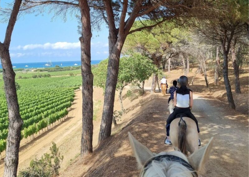 Horse back riding + wine tasting in Ramatuelle - Key Points