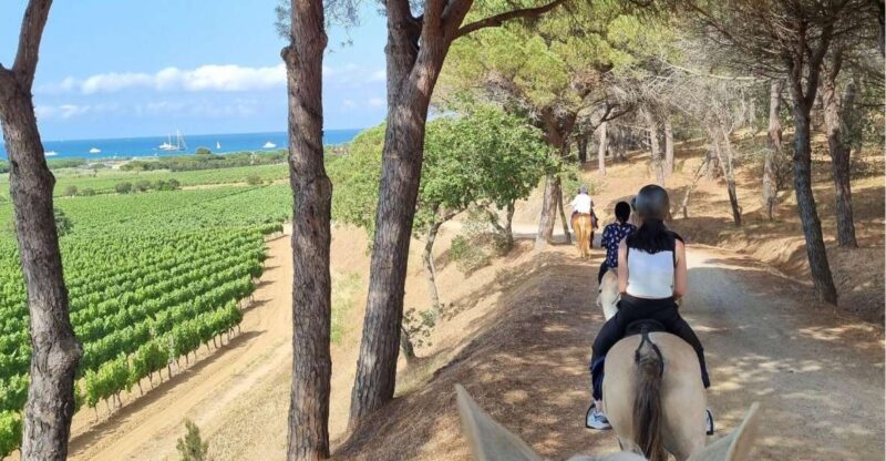 Horse back riding + wine tasting in Ramatuelle - Ramatuelle Vineyards and the Bay of Pampelonne from Horseback