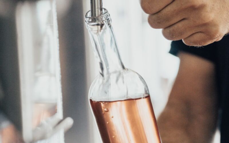 Horse back riding + wine tasting in Ramatuelle - Logistics: Meeting Point and Group Size