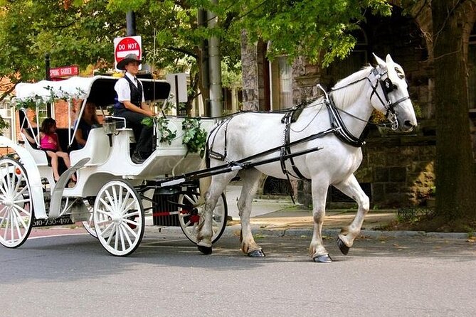 Horse Carriage Romantic Ride (VIP-Private) in Central Park 1964 - Key Points