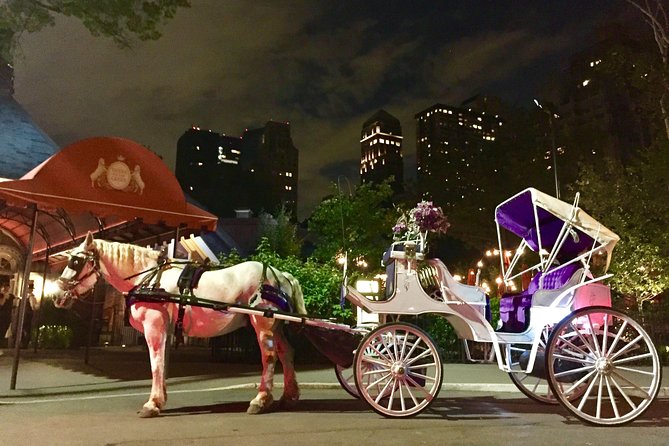 Horse Carriage Romantic Ride (VIP-Private) in Central Park 1964 - Logistics and Meeting Details