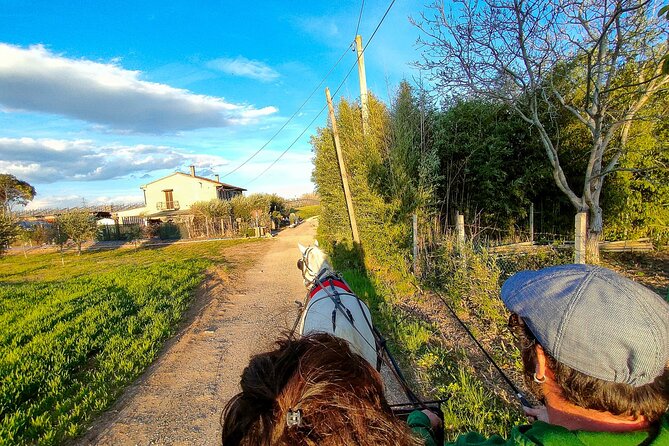 Horse Carriage Tour and Wine Tasting in Lazise - Visiting a Family-Run Beekeeping Farm and Tasting Local Products