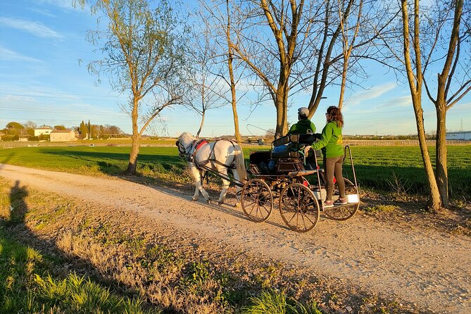 Horse Carriage Tour and Wine Tasting in Lazise - The Intimate Group Experience and Customer Satisfaction