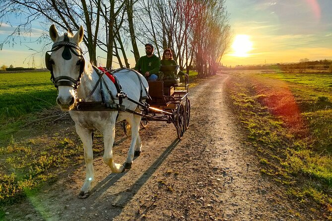 Horse Carriage Tour and Wine Tasting in Lazise - Practical Tips and Considerations for Participants
