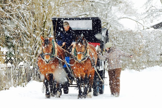 Horse Carriage Tour of Garmisch-Partenkirchen - Who Will Appreciate This Tour Most?