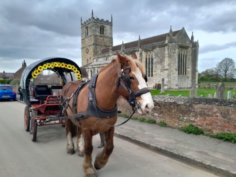Horse drawn carriage ride and Picnic Hamper - Practical Details: Flexibility and Cancellation Policies