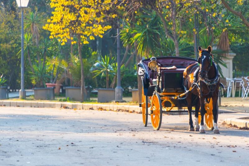 Horse-Drawn Carriage Ride Through Seville - Key Points