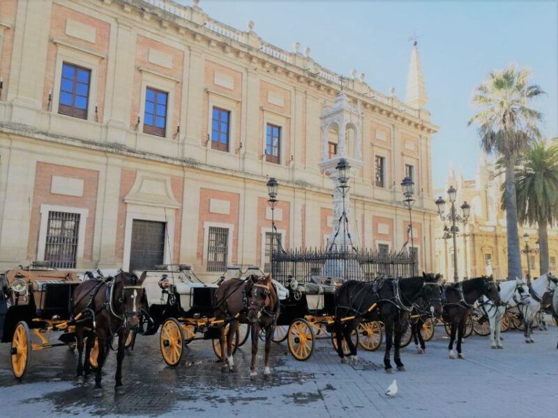 Horse-Drawn Carriage Ride Through Seville - What Makes This Tour Stand Out in Seville