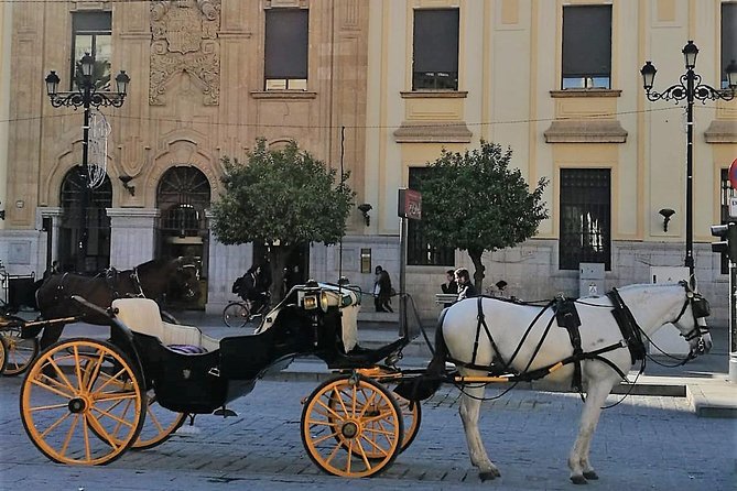 Horse-Drawn Carriage Ride through Seville - The Benefits of a Private, Customizable Experience