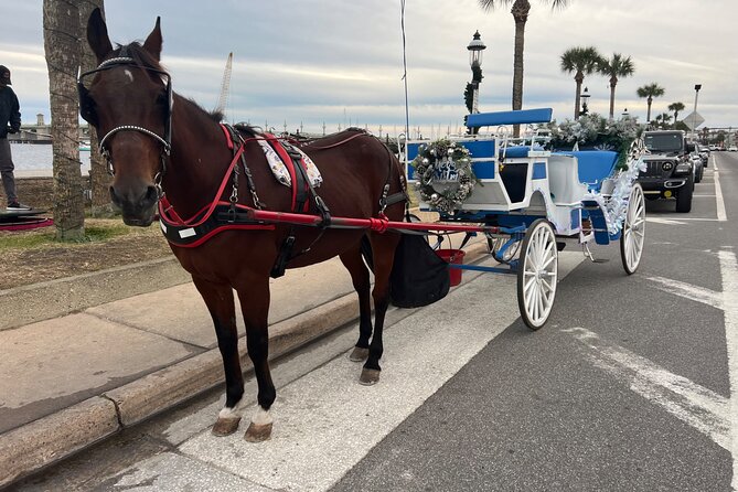Horse-Drawn Carriage Tour of St Augustine - How the Horse-Drawn Carriage Tour Sets Itself Apart in St. Augustine