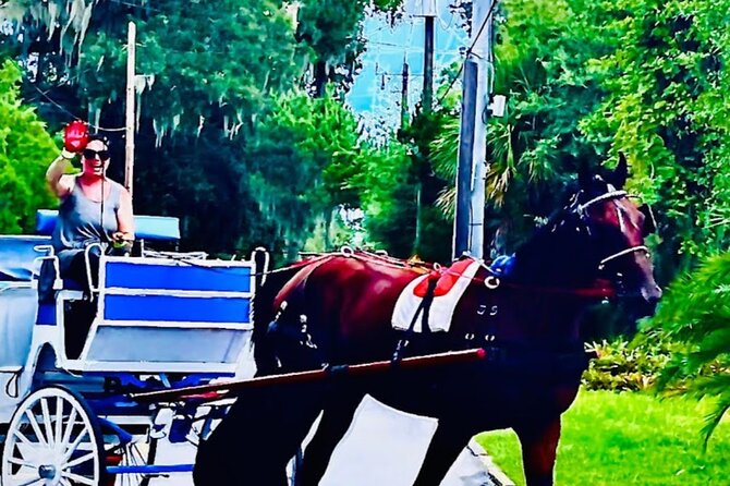 Horse-Drawn Carriage Tour of St Augustine - Weather Considerations and Tour Timing Tips
