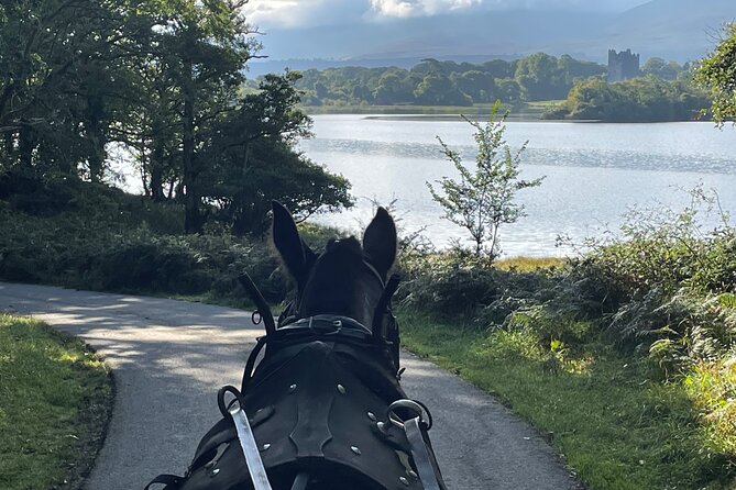 Horse-Drawn Carriage Tours in Killarney - The Expertise and Personality of the Guides
